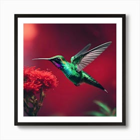 Hummingbird Art Print