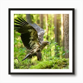 Golden Eagle In The Forest 1 Art Print