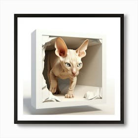 Sphynx Cat 4 Art Print