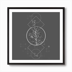 Vintage Adam's Needle Botanical with Line Motif and Dot Pattern in Ghost Gray n.0218 Art Print