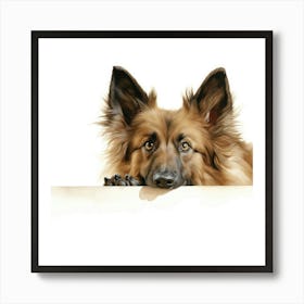 German Shepherd Dog Looking At A Blank Wall Art Print