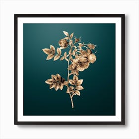 Gold Botanical Turnip Roses on Dark Teal n.0275 Art Print