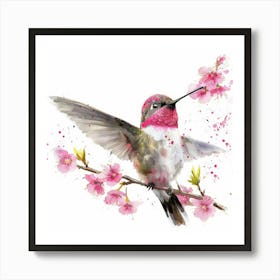 Hummingbird 21 Art Print