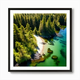 Forest Water Nature Tree Copy Space Creek Summer Sand Aerial Moss Clear Sky Vacation Sun Art Print