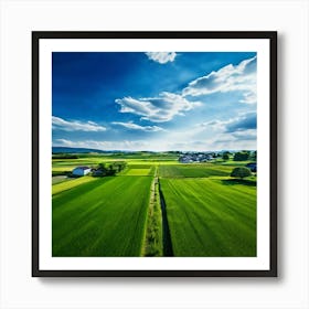 Green Farm Nature Field Landscape Countryside Agriculture Grass Gold Grow Japan Air Plan (3) Art Print