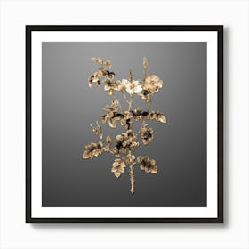 Gold Botanical Prickly Sweetbriar Rose on Soft Gray n.3502 Art Print