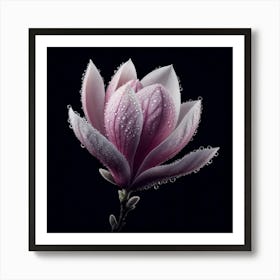 White Pink Magnolia Flower With Dew Drops Art Print