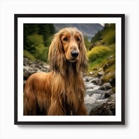 Scottish Terrier 4 Art Print
