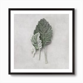 Minimalistic Muted Leaves Square Art Print