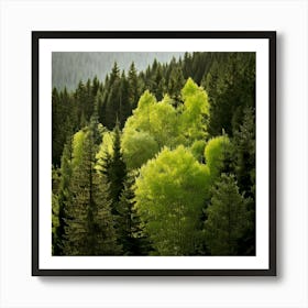 Firefly Noise Reduction Forest Reduces Noise In Low Light Or High Iso Images 3 Art Print