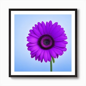 Purple Gerbera Flower Art Print