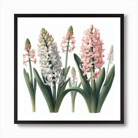 Hyacinths Art Print