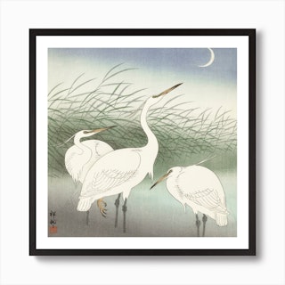Herons In Shallow Water, Ohara Koson Vintage Japanese Art Print