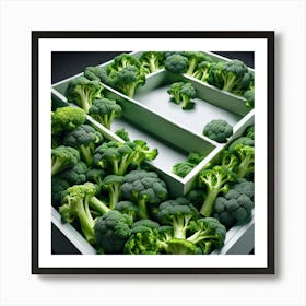 Broccoli In A Box 1 Art Print