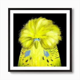 English Budgerigar Art Print