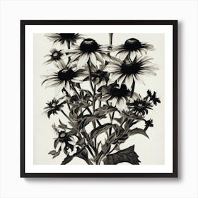 Black Eyed Susan 1 Art Print