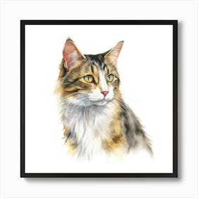 American Wirehair Longhair Cat Portrait 3 Art Print