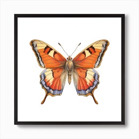 Butterfly 45 Art Print