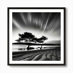 Lone Tree On The Beach 1 Art Print