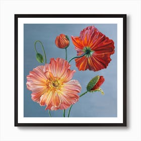 Poppies Art Print