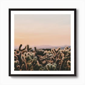 Cholla Cactus Sunset Art Print