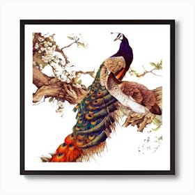 China Peafowl Glass Feather Peacock Art Print