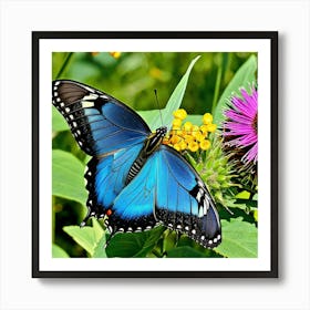 Blue Swallowtail Butterfly 5 Art Print