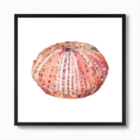 scavenger Seashell Art Print