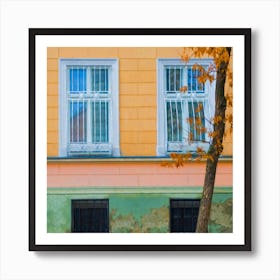 Windows And A Tree Of Autumn Square Art Print