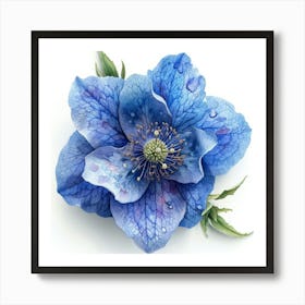 Blue Hellebore 3 Poster