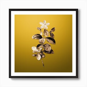 Gold Botanical Gardenia on Mango Yellow Art Print