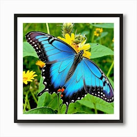 Butterflies Insect Lepidoptera Wings Antenna Colorful Flutter Nectar Pollen Metamorphosis (22) Art Print