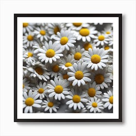 Daisy 6 Art Print