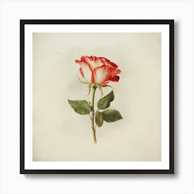 Red Rose 2 Art Print