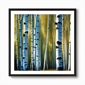 Birch Trees 19 Art Print