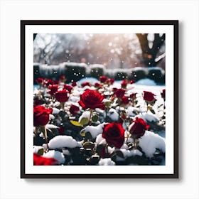 Red Roses in White Snow Art Print