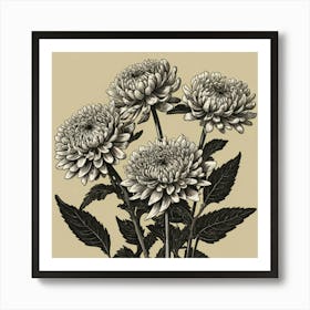 Chrysanthemums 3 Art Print