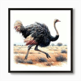 Ostrich Run in Color Detail Drawing - Wild Bird Artwork 125 Art Print