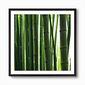 Bamboo Forest Art Print