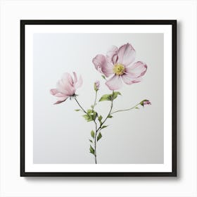 Pink Cosmos Art Print