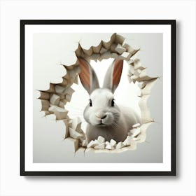 Rabbit Through A Hole 2 Art Print