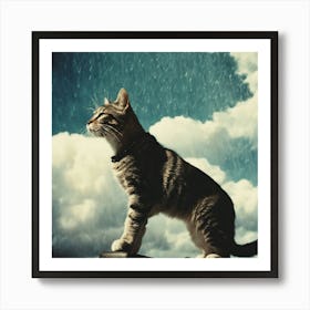 Cat In The Rain Art Print