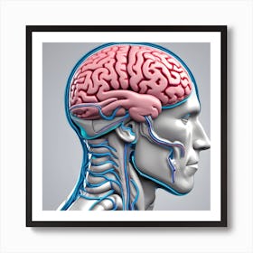 3d Render Of A Medical Image Of A Male Figure With Brain Highlighted (2) 1 Art Print