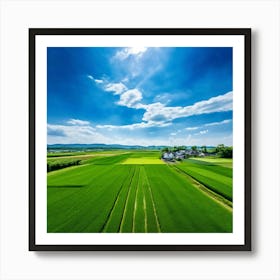 Green Farm Nature Field Landscape Countryside Agriculture Grass Gold Grow Japan Air Plan (8) Art Print