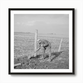 Tip Estes, Hired Man, Repairing A Fence, Near Fowler,Indiana By Russell Lee Art Print