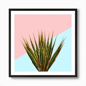 Agave Plant on Pink and Teal Wall Art Print