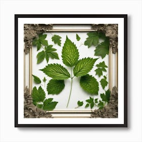 Berries In A Frame Art Print