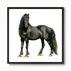 Black Horse Art Print