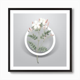 Vintage Spanish Jasmine Minimalist Floral Geometric Circle on Soft Gray n.0159 Art Print