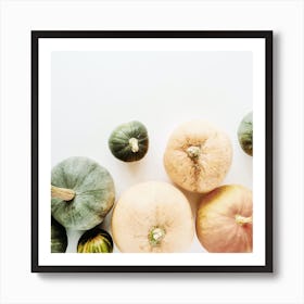 Pumpkins On White Background Art Print